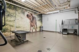 Thumbnail 37